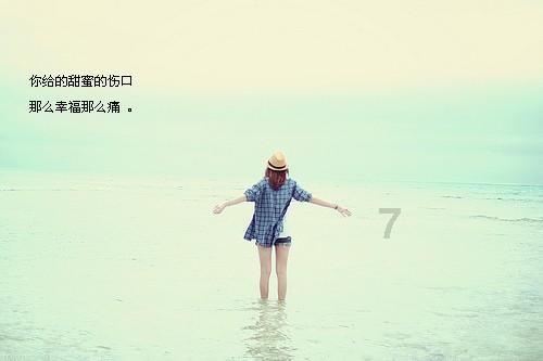 小艾比摄影家